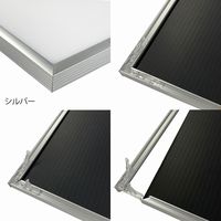 アートプリントジャパン フィットフレーム賞状 A3 シルバー 1枚