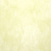 ＳＷＡＮ　フラワーラッピングロール トワロール 14　イエロー　006778214　1本