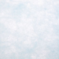 ＳＷＡＮ　フラワーラッピングロール トワロール 8　スカイブルー　006778208　1本