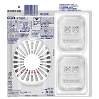 【アウトレット】再値下げ 【数量限定】ファブリーズ 消臭芳香剤 玄関用 さくらフローラル 1パック（本体ケース+詰替2個） P＆G