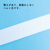 日本紐釦貿易 インサイドベルト 幅20mm×30m巻 白 F520-30W 1セット(30m巻)（直送品）