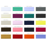 日本紐釦貿易 ストレッチマスクテープ 二つ折りタイプ ブラウン 幅約10mm(折った状態)×1m HM20-9 1セット(1m入×10枚、合（直送品）