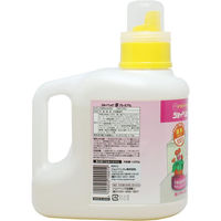 ジョイベック(株) ドライマーク衣類用 おしゃれ着用 ジョイベックS プレミアム 1000g JOY-SWP 1本1000g（直送品）