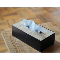 ポッシュリビング ティッシュケース W26.5×D13.5×H8cm マンゴーウッド/アイアン 41317 1個（直送品）