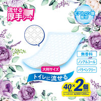 【おしりふき】【トイレに流せる】レック こころ想い 流せるおしりふき大判 1パック（40枚入×2個）