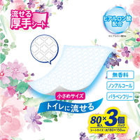 【おしりふき】【トイレに流せる】レック こころ想い 流せるおしりふき 1パック（80枚入×3個）