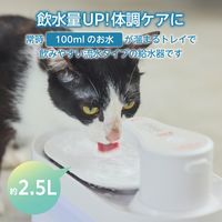 水飲み器 自動 給水器 猫/犬 コードレス 大容量 2.5L 静音 省エネ ホワイト PET-WD03WH エレコム 1個（直送品）
