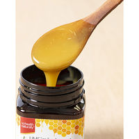 生活の木 マヌカハニーUMF10+ 500g 02-046-3140 1個（直送品）