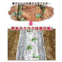 アストロ 敷きわら風 キラキラシート1×20m 530-10 1枚（直送品）