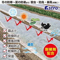 アストロ 虫よけ・霜よけ保護シート(園芸用 不織布シート) 1.6×10m 602-99S 1枚（直送品）