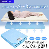 アストロ ドライ&ドライ吸湿防ダニマット ダブル 614-42N 1枚（直送品）