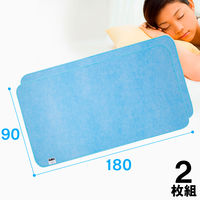 アストロ ドライ&ドライ吸湿防ダニマットシングル2枚組 614-43N 1セット(2枚)（直送品）