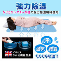 アストロ 除湿で防ダニ!吸湿マット シングル用 2枚組 614-59 1セット(2枚)（直送品）