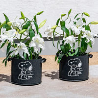 アストロ スヌーピー フェルトガーデンポット 10号 2枚組 900-37 1セット(2枚)（直送品）