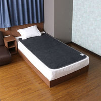 アストロ 消臭炭入ドライ&ドライ吸湿防ダニマット シングル 615-01 1枚（直送品）