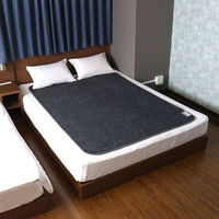 アストロ 消臭炭入ドライ&ドライ吸湿防ダニマット ダブル 615-02 1枚（直送品）