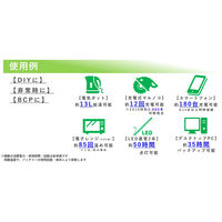 新潟電子工業 【車上渡し】 可搬型蓄電システム　1560Wh　ソーラー入力端子付モデル　NISM-PB1600-PV　1台（直送品）