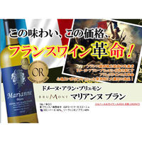 フランス ドメーヌ アラン ブリュモン マリアンヌ ブラン 白ワイン 辛口 750ml 1本 三国ワイン