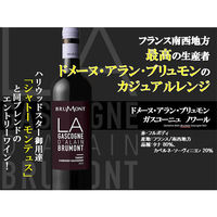 フランス ドメーヌ アラン ブリュモン ガスコーニュ ノワール 赤ワイン フルボディ 750ml 1本 三国ワイン