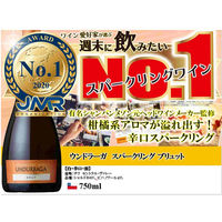 チリ ウンドラーガ スパークリング ブリュット スパークリングワイン　白 辛口 750ml 1本 三国ワイン