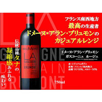フランス ドメーヌ アラン ブリュモン ガスコーニュ ルージュ 赤ワイン ミディアムボディ 750ml 1本 三国ワイン