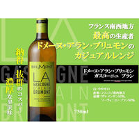 フランス ドメーヌ アラン ブリュモン ガスコーニュ ブラン 白ワイン やや辛口 750ml 1本 三国ワイン
