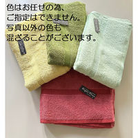 日繊商工 国産「カリブカラー」バスタオル(袋入り)/粗品のシール付き/色はお任せ 100010-soshina-50 1箱(50個入)（直送品）