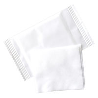 ビヨンドTT TT0001 平型おしぼり てふきんS (100枚入/袋) 120x180mm 1ケース(100枚x54袋=（直送品）