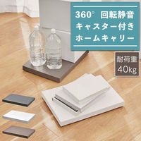 テラモト tidy Platform ブラウン OT6682004 1個（直送品）