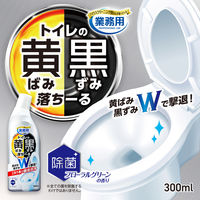 アイメディア トイレの黄ばみと黒ずみ落ちーる 1010219 1個（直送品）