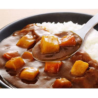 キッセイ薬品工業 ゆめレトルト たんぱくこだわりカレー 150g 92891 1袋（直送品）