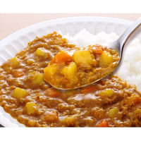 キッセイ薬品工業 ゆめレトルト ひき肉カレー 150g 94050 1袋（直送品）