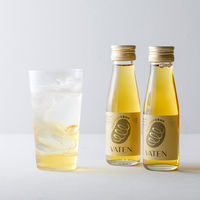 VATEN バテン 100mL 10本入 1ケース 福光屋