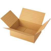 【底面A3】　容量可変ダンボール（浅型タイプ）　A3×高さ162～72mm　1梱包（20枚入）（わけあり品）