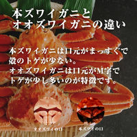 カネサン佐藤水産 北海道産オオズワイガニ カナダ産本ズワイガニ 食べ比べセット 2尾 計750g 116652881 1箱(2尾入)（直送品）
