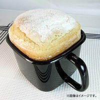 アドバンスドア 保存容器 1.5L 角型 琺瑯 抗菌 ブラック ADーKP.BK 1個