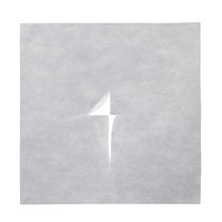 ピローシート（クロススリット入り）30×30cm（200枚入り） フィフティ・ヴィジョナリー