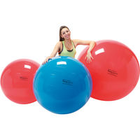 Ledraplastic フィジオギムニク 85(赤) 720-262 1個（直送品）