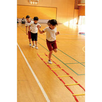 エバニュー ラダーロープ 5m(低学年用) 722-988 1個（直送品）