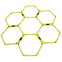 サクライ貿易 ラダーハードル兼用セット 724-067 1台（直送品）