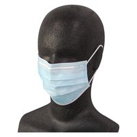 竹虎 サージマスクCP（ブルー）076162 1箱（50枚入）