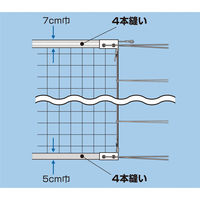 ゼット学校体育 男子9人制バレーネット60DYT ZKN102 1セット(1個入×1)（直送品）