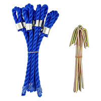 ゼット学校体育 ポイントマーカー(10本1組) アオ ZK1940 1セット(10本入×2)（直送品）