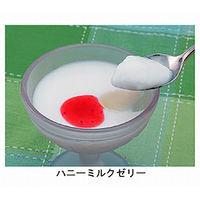 伊那食品工業 株式会社 介護食用ウルトラ寒天 300g 1袋 E0610