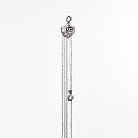 エスコ 250kgx5.0m チェーンブロック EA987AA-5A 1台（直送品）