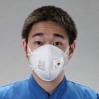 エスコ [DS2] マスク(防塵用/排気弁付/10枚) EA800NB-10 1セット(20枚:10枚×2箱)（直送品）