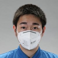 エスコ [DS2] マスク(防塵用/50枚) EA800NB-12 1袋(50枚)（直送品）