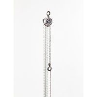 エスコ 80kgx2.5m チェーンブロック EA987-20A 1台（直送品）