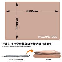 ブレイン 難燃備蓄毛布(認定ラベル付) BR-942 1個 552-2066（直送品）