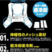 ブレイン アイスバック(R)スポーツ胸ベルト付(背中用保冷剤1個、脇用保冷剤2個付) BR-543 1式 611-3516（直送品）